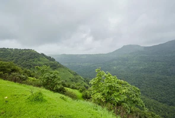 Projects at Mount Alterra - Khandala - Gallery