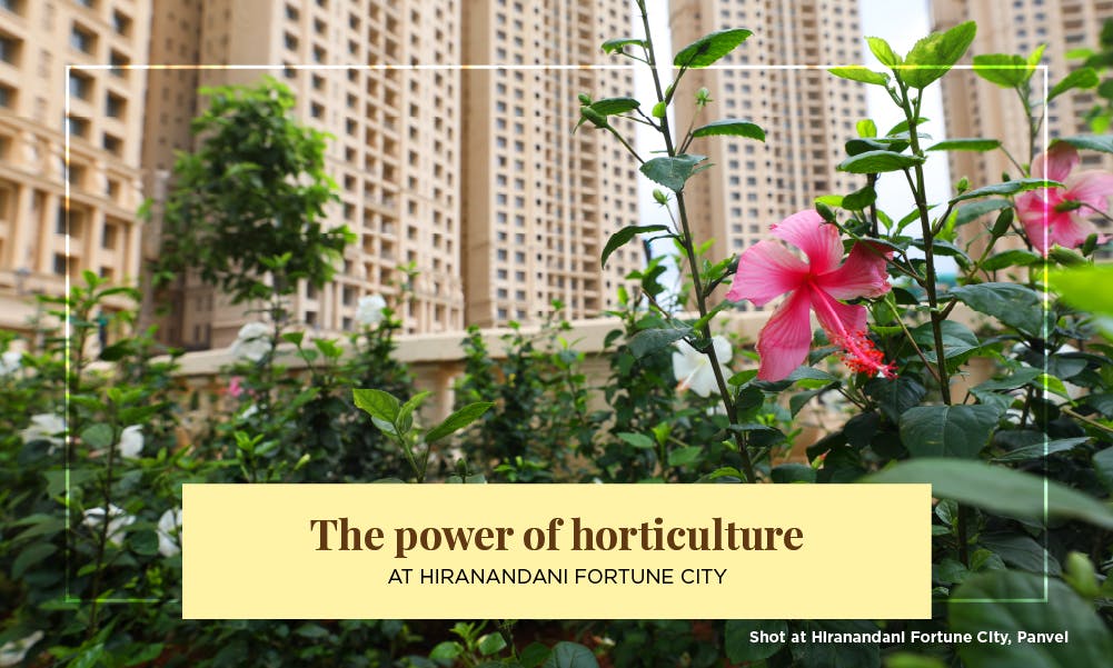 The power of horticulture at Hiranandani Fortune City