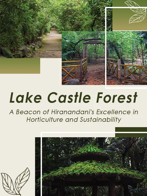 Lake Castle Forest: A Hallmark of Hiranandani Horticulture and Sustainability